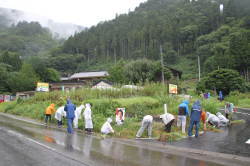 雨の中、草取りをする学生たち